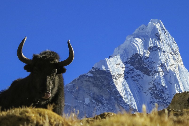everest-ifremmont-8 everest-ifremmont-8