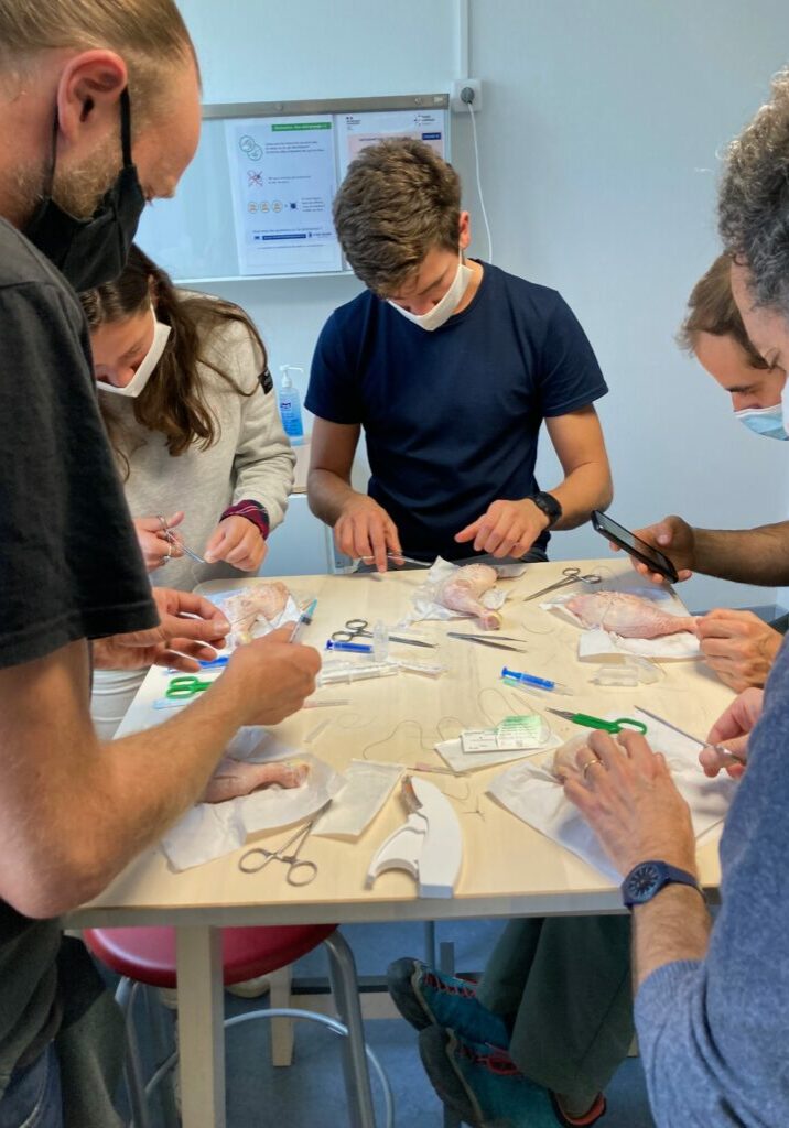 Atelier sutures
